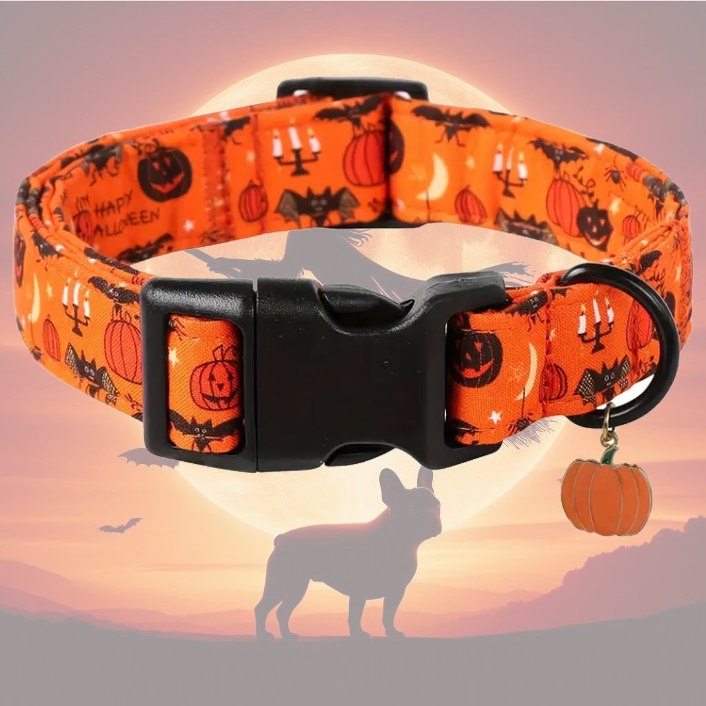 Halloween-Collier d’Halloween avec Breloque Citrouille
