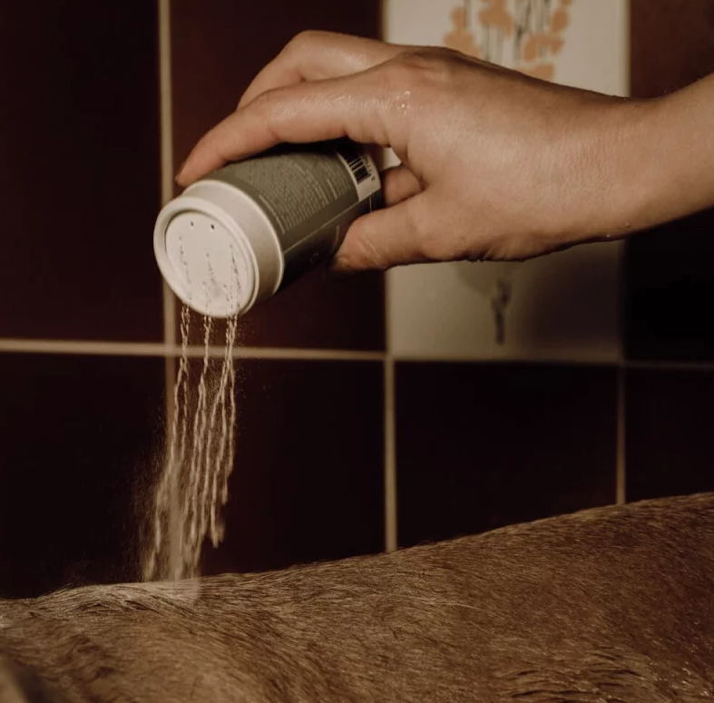 Nellumbo- Shampoing poudre moussant -50 Gr – Image 2