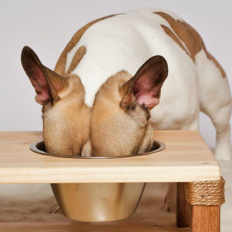 BOOSTY – Poudre de Bois de Cerf pour Chien & Chat-130 g – Image 2