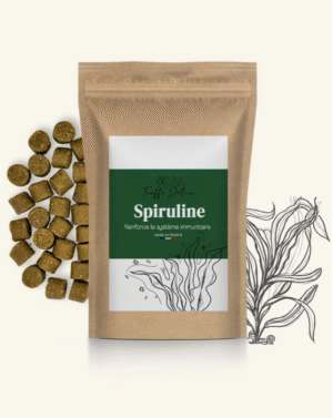 Spiruline pour Chien