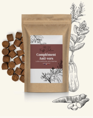 Vermifuge Naturel pour Chiens