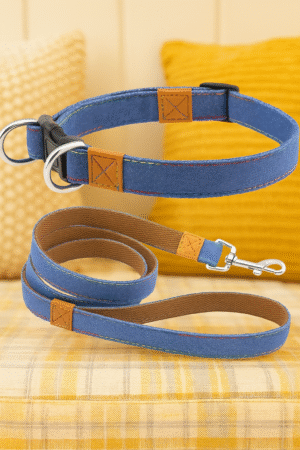 Ensemble Collier & Laisse en Denim Rétro
