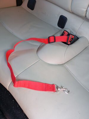 Ceinture de Sécurité pour Chien