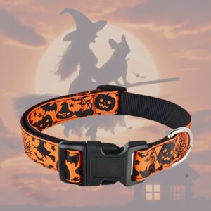 Halloween-Collier pour Chien (tour de cou de 26 à 40 cm )