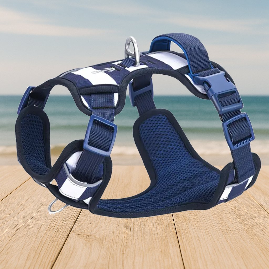 Harnais Style Marinière – Image 2