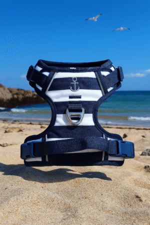 Harnais Style Marinière